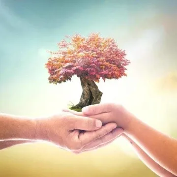 promocion-psicogenealogia-img-cursos